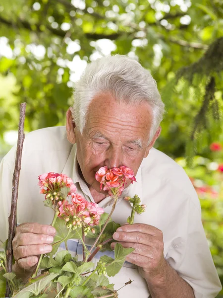 Homme âgé avec des fleurs — Photo