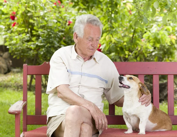 Idős férfi a kutyájával — Stock Fotó