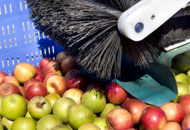Harvesting equipment for apples clipart