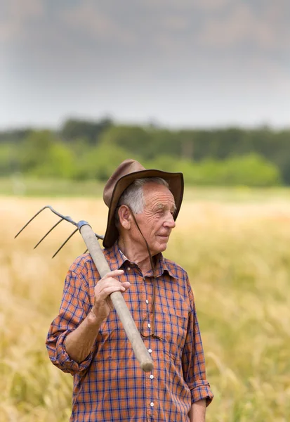 Vecchio nel campo di orzo — Foto Stock