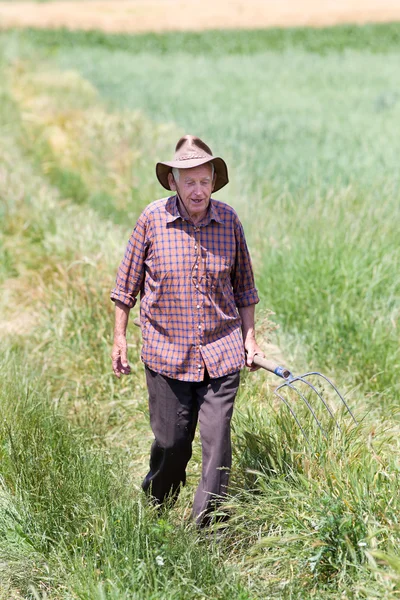 Vecchio in campo — Foto Stock