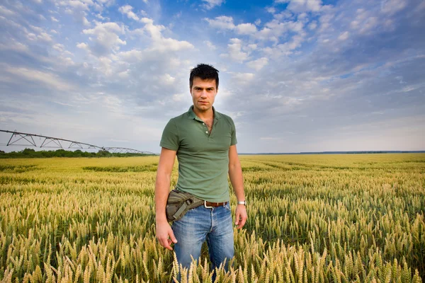 Uomo attraente nel campo dell'orzo — Foto Stock