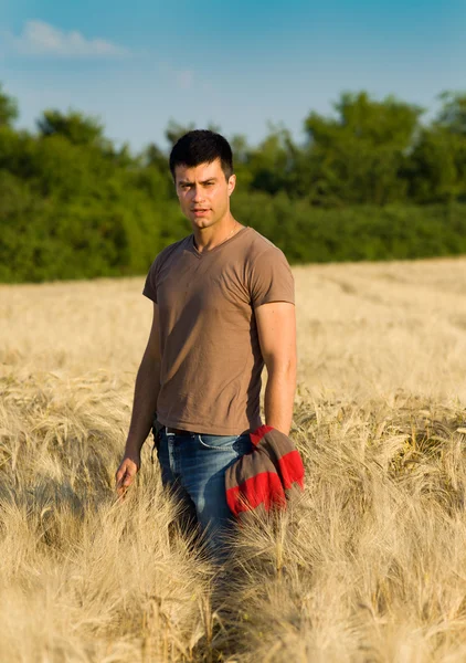 Attractive man in barley field — Stock Photo, Image