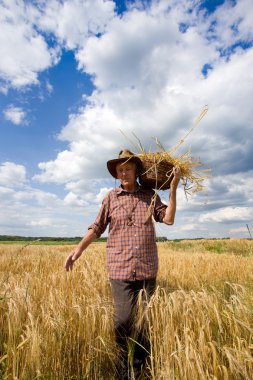 İhtiyar arpa alanı