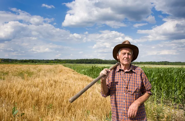 Homem com garfo no campo — Fotografia de Stock