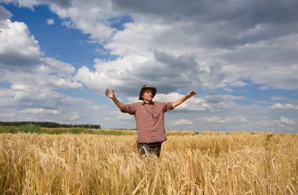Feliz hombre en el campo de trigo — Foto de Stock