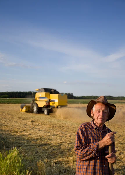 Harvesting — Stock Photo, Image