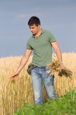buğday alanında mutlu çiftçi