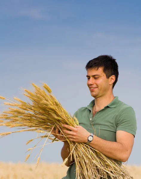 Man with bunch of wheat — Stock Photo, Image