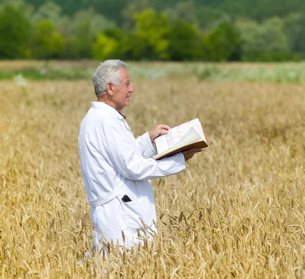 Landbouwingenieur in veld — Stockfoto