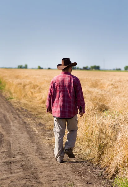 Agriculteur dans le champ de blé — Photo