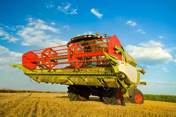 Harvesting wheat — Stock Photo, Image