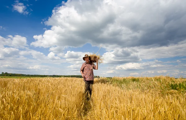 Old peasant — Stock Photo, Image