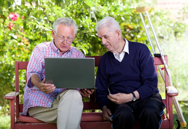 Seniors with laptop — Stock Photo, Image