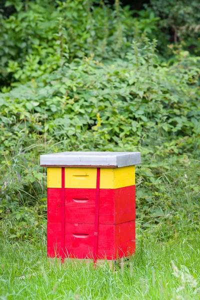 Kırmızı arı kovanı — Stok fotoğraf