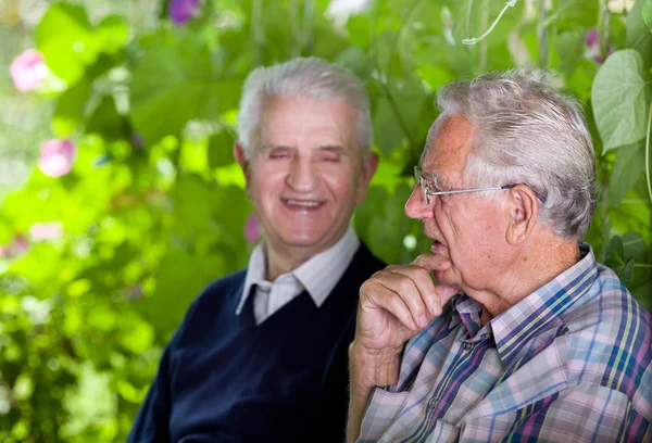 Oude mannen chatten — Stockfoto