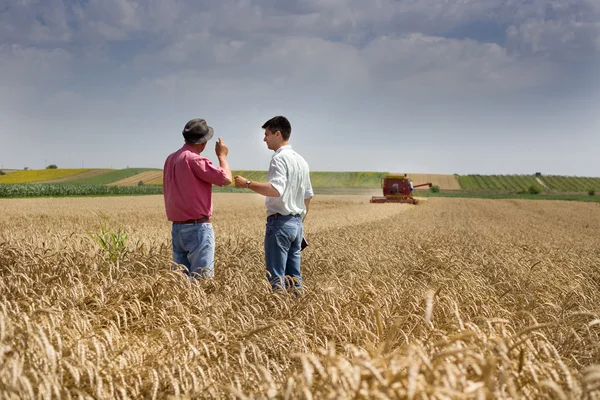 Harvesting — Stock Photo, Image