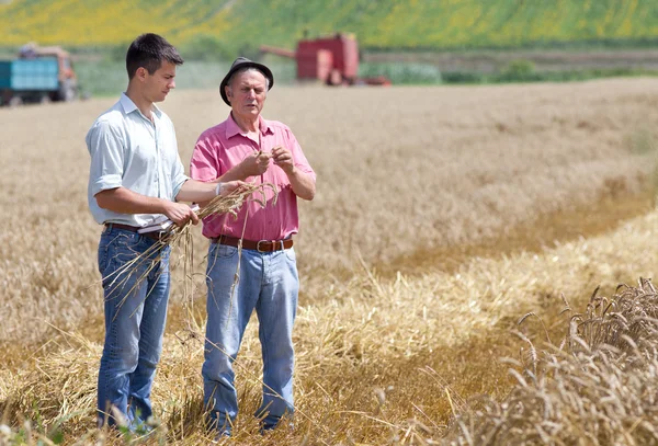 Harvesting — Stock Photo, Image