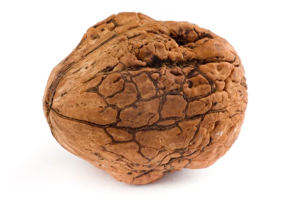 Walnut — Stock Photo, Image