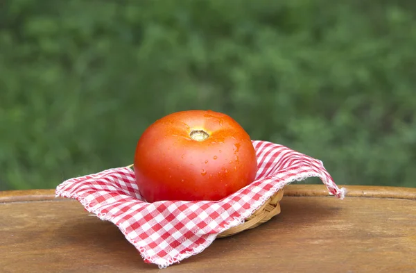 One tomato in basket — Stock Photo, Image