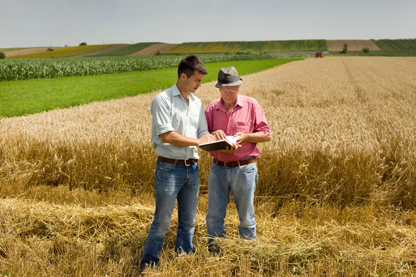 Harvesting — Stock Photo, Image