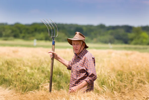 Working in barley field — Stock Photo, Image