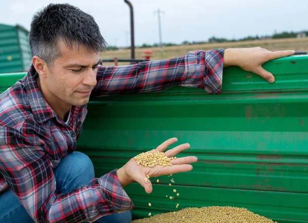 トレーラーに身を包んだ魅力的な農学者がカメラを見て笑っている 大豆を収穫した作物を見せるハンサムな男 — ストック写真