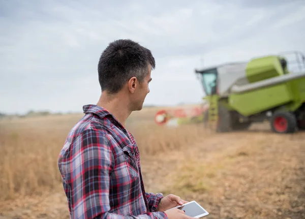 Jonge Mannelijke Landbouwer Met Behulp Van Een Tablet Het Soja — Stockfoto