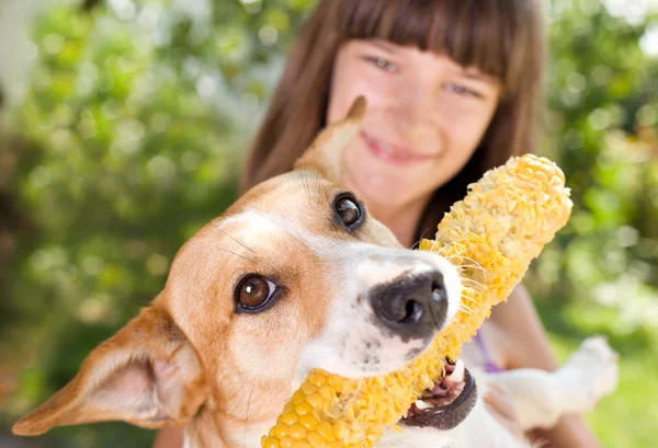 Perro con maíz en la boca — Foto de Stock