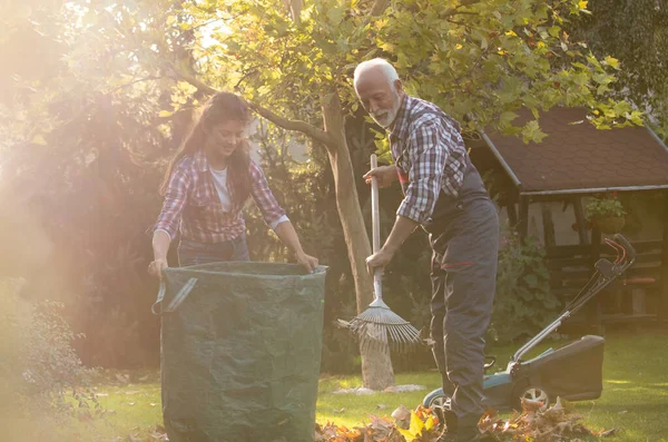 Padre Hija Recogiendo Hojas Jardín Otoño —  Fotos de Stock