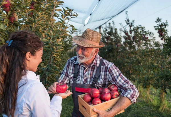 Mujer Joven Agrónoma Bata Blanca Agricultora Madura Parada Huerto Manzanas — Foto de Stock