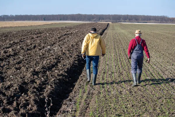 Vista Posteriore Due Agricoltori Che Camminano Nel Campo Arato Con — Foto Stock