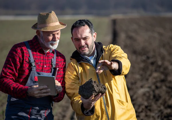 畑の土壌の質をチェックする2人の農民 高齢者のタブレットを保持しながら 若い地球の塊を見て — ストック写真