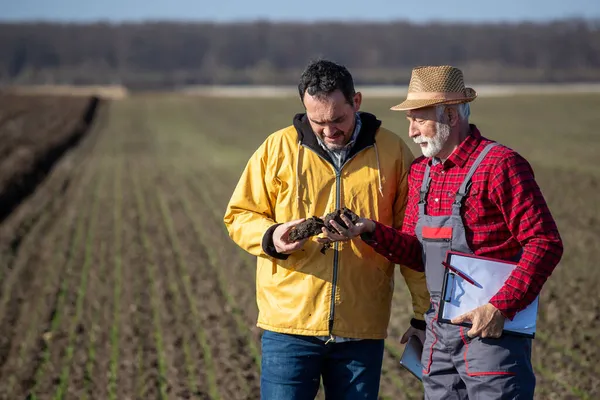 Zwei Bauern Kontrollieren Die Bodenqualität Auf Dem Feld Der Senior — Stockfoto