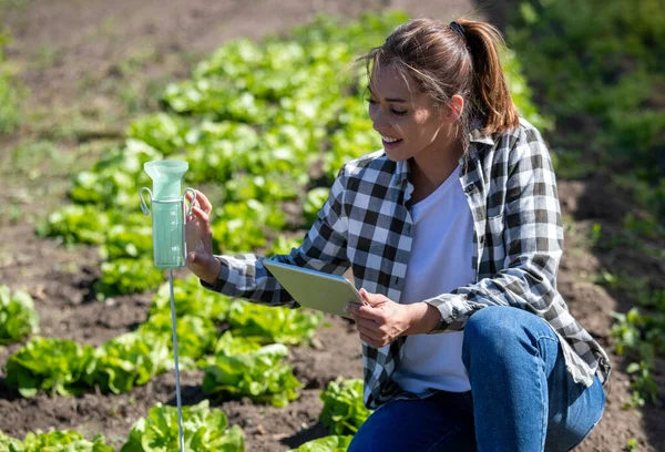 从事温室前田间作物保护工作的女工程师 用雨量计测量田里降雨量的年轻农民 — 图库照片
