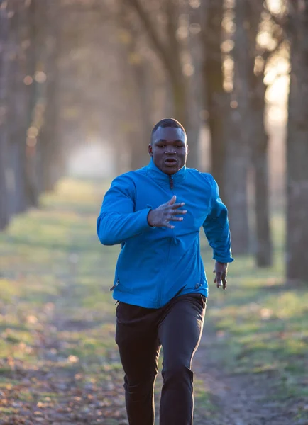 Чорний Язистий Чоловік Бігає Лісі Зимовий Час Біг Фізичні Вправи — стокове фото