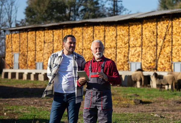 Счастливые Работники Фермы Сотрудничают Использовании Цифровых Планшетов Ферме Старший Человек — стоковое фото