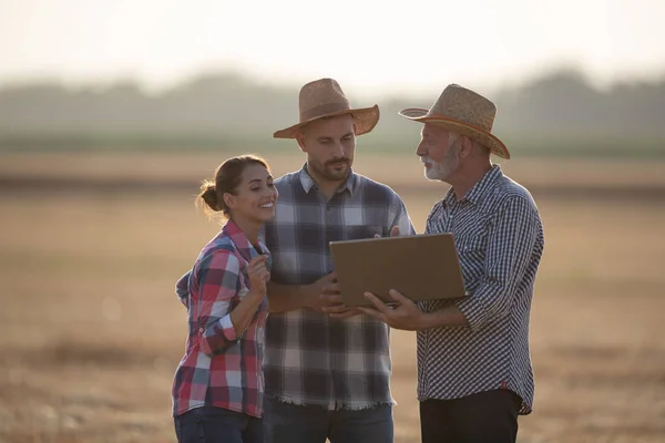 Senior experienced farmer with laptop explaining something to younger farmers man and woman in field during harvest in summer time