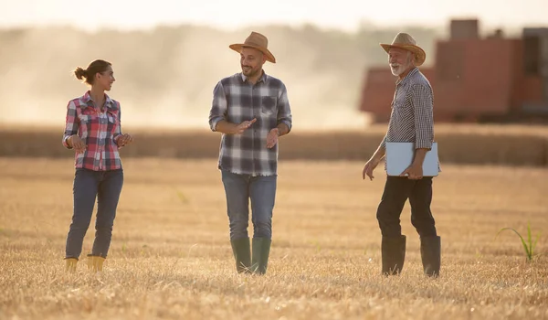 Tres Agricultores Caminando Campo Durante Cosecha Con Cosechadora Fondo —  Fotos de Stock