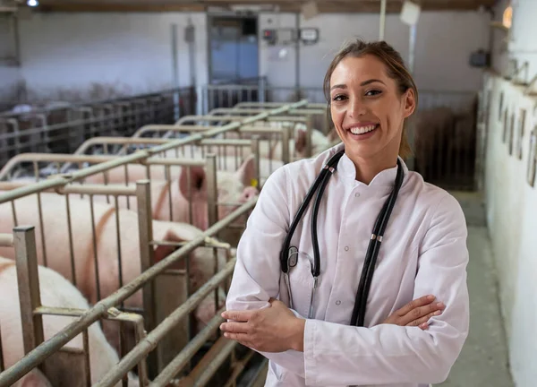 Pretty young veterinarian in white coat with stethoscope standing with crossed arms in front of pigs in stable