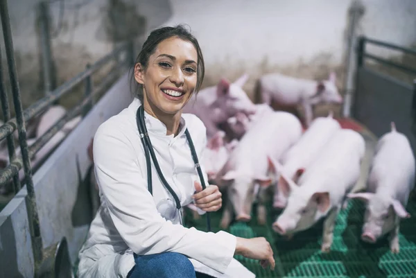 Bonita Joven Veterinaria Pelaje Blanco Con Estetoscopio Cuclillas Moderna Pocilga —  Fotos de Stock