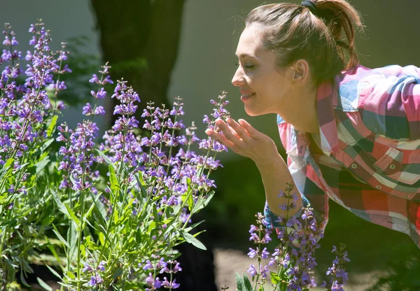 Side View Young Woman Smelling Lavender Flowers Nature Beautiful Sunny — Stock Photo, Image