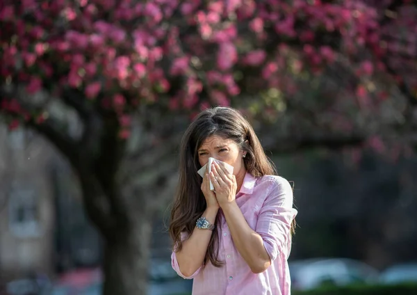 Young Woman Wiping Nose Napkin Front Blooming Tree Spring Allergy — Stok Foto