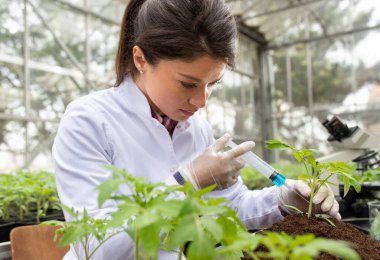 Young pretty woman agronomist applying chemicals to sprout  for plant protection research in greenhouse