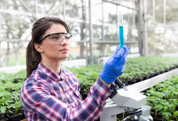 Young Pretty Woman Agronomist Doing Experiments Chemicals Seedlings Greenhouse Plant — Foto de Stock