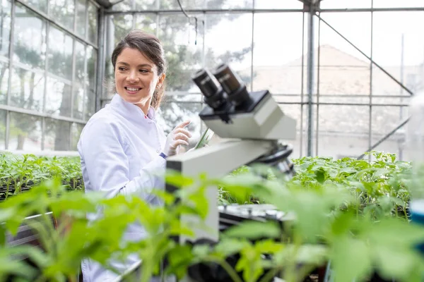 穿着白衣的年轻漂亮女农学家在温室做平板和显微镜研究 植物护理和保护概念 — 图库照片