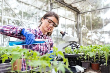 Young pretty woman agronomist working with chemicals in test tubes for plant protection on seedlings  in greenhouse in springtime