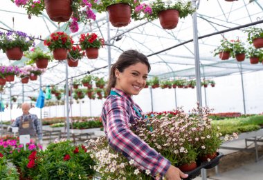 Bir serada dikilirken elinde çiçeklerle elinde bir tepsiyle gülümseyen kadın çiçekçinin yan görüntüsü..