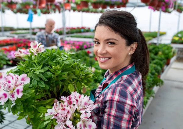 Portrait Smiling Female Florist Holding Flower Pot Nursery Garden — Fotografia de Stock