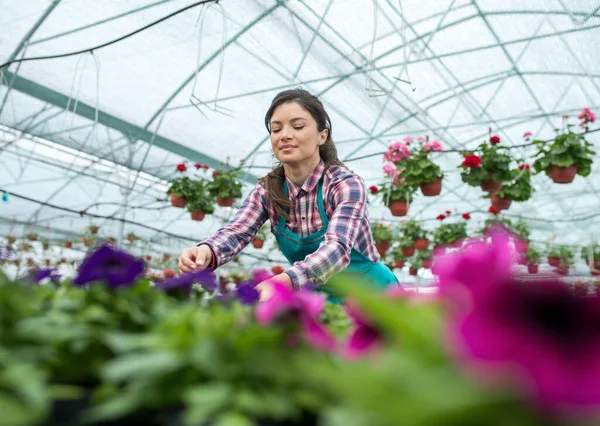 Mujer Bastante Joven Con Delantal Trabajando Con Flores Macetas Vivero — Foto de Stock